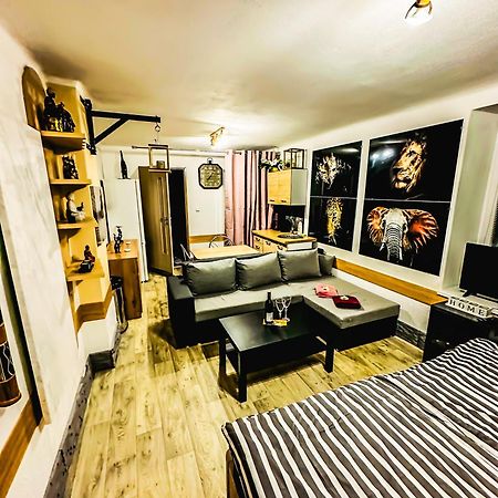 Apartman Pod Hradem Horšovský Týn 外观 照片